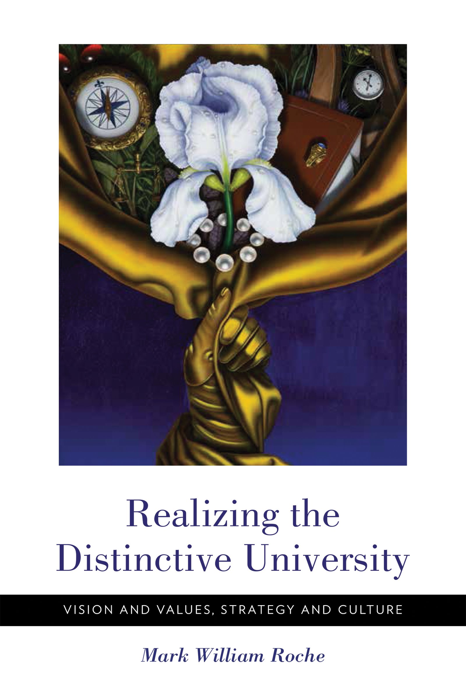 Realizing The Distinctive University Vision And Values - 