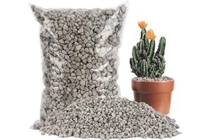 Sukh Horticultural Pumice Stone - Pumice Stone for Plants Succulent Cactus Bonsai Orchid Soil Amendment 410g