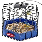 Kingsyard Squirrel Proof Platform Bird Feeder for Outdoor Hanging, Caged Bird Feeder for Bluebird Mealworm, Recycled Plastic Feeding Platform with Metal Mesh Tray, Special for Small Birds, Blue