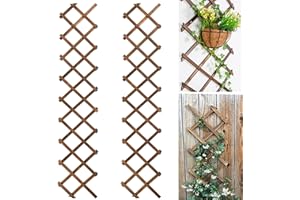 Avalution Extensible Natural Garden Wooden Fence Lattice Frame Plant Support Frame Natural Wooden Lattice Frame for Cucumber Climbing Plant Vines Ivy Rose 75"x11.8" Lattice Fence Panel(2Pack)