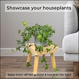 Evanmore Wooden Plant Stand Stool Display Table Small Indoor Use view 6