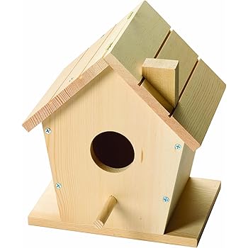 Amazon.com: Lakeshore Build-It-Yourself Woodworking Kit 