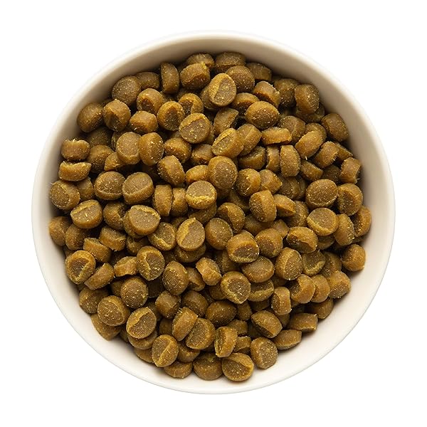 ZUKE’S MINI NATURALS DOG TRAINING TREATS FOR DOGS, PET TREATS MADE WITH REAL PEANUT BUTTER – 10 OZ. POUCH