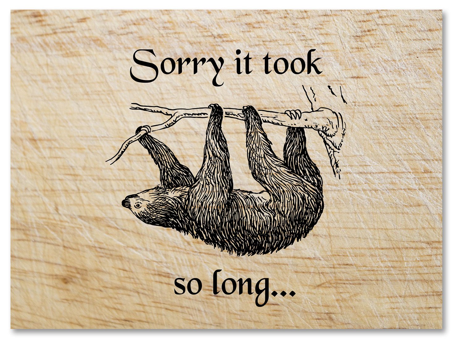 Sorry It Took So Long Sloth Greeting Card - Blank on the Inside - Includes Cards and Envelopes - 5.5"x4.25" (12 Pack)