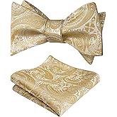Alizeal Mens 2pcs Paisley Jacquard Tuxedo Self Tied Bow Tie with Pocket Square Set