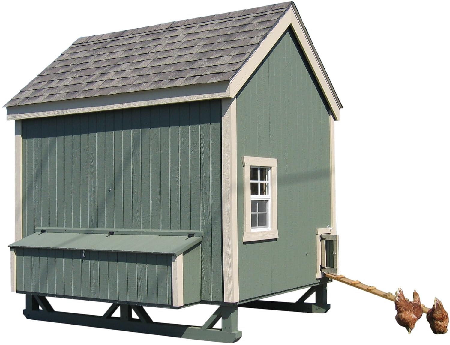 Amazoncom Little Cottage Company Colonial Gable Coop 6x8 Diy