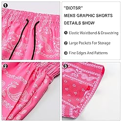 DIOTSR Mens Paisley Casual Shorts Retro Graphic