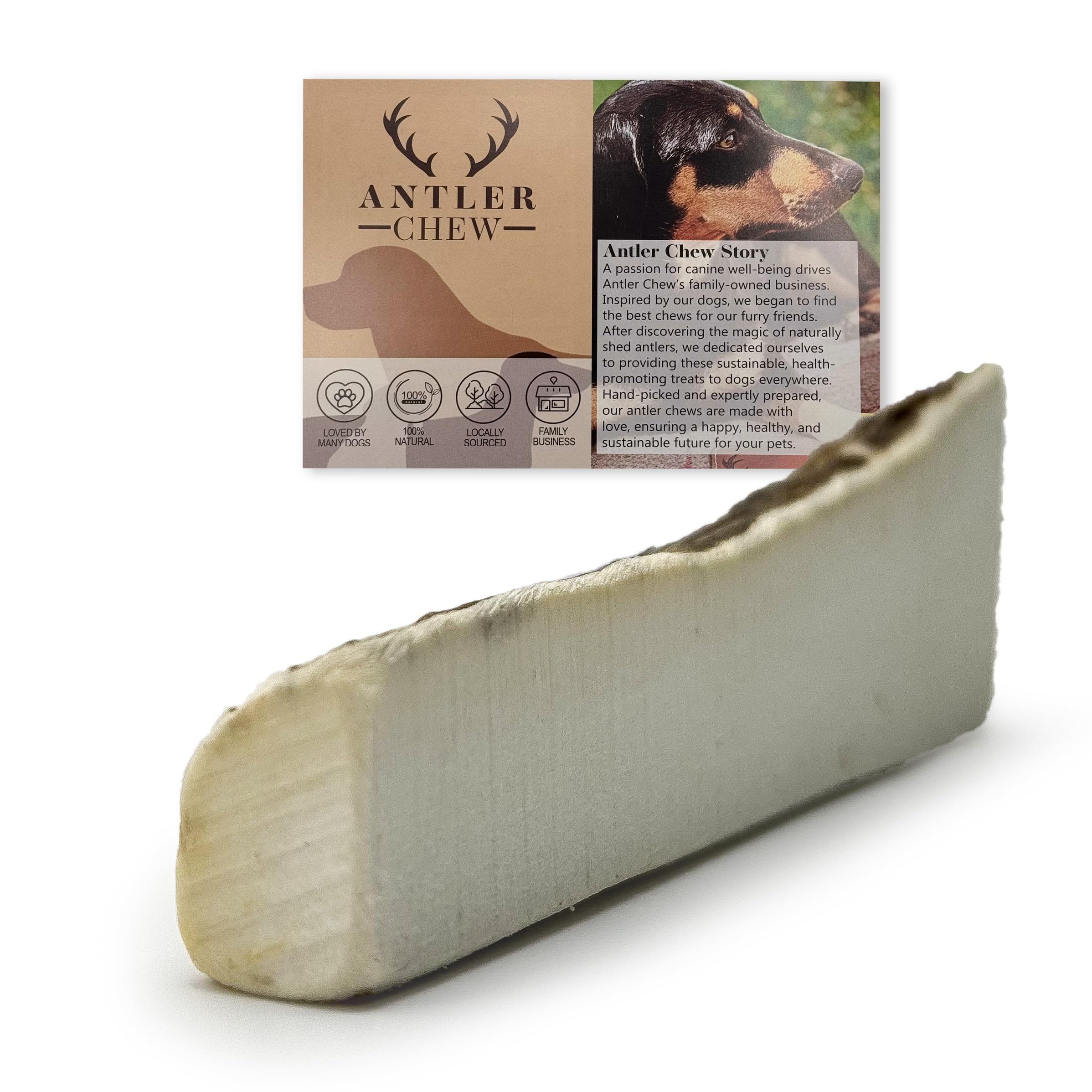 Antler Chew – Elk Split Antler for Small Dogs (40–70g, from 8cm) | Long-Lasting Natural Chew Toy | Odourless, Durable & Supports Dental Health