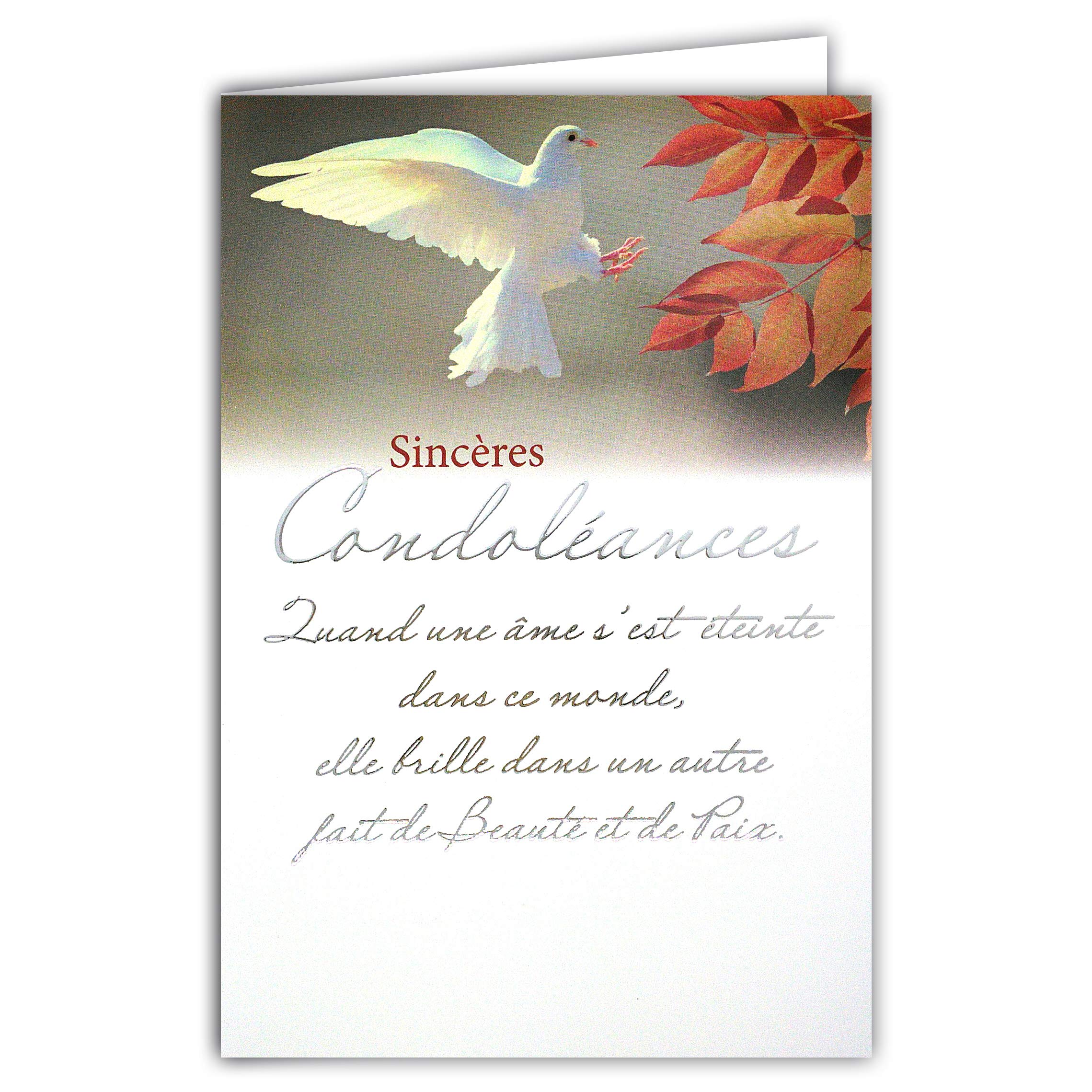 Afie 64-1073 Sincere Condolence Card with White Envelope - Silver Text - Dove Peace Soul