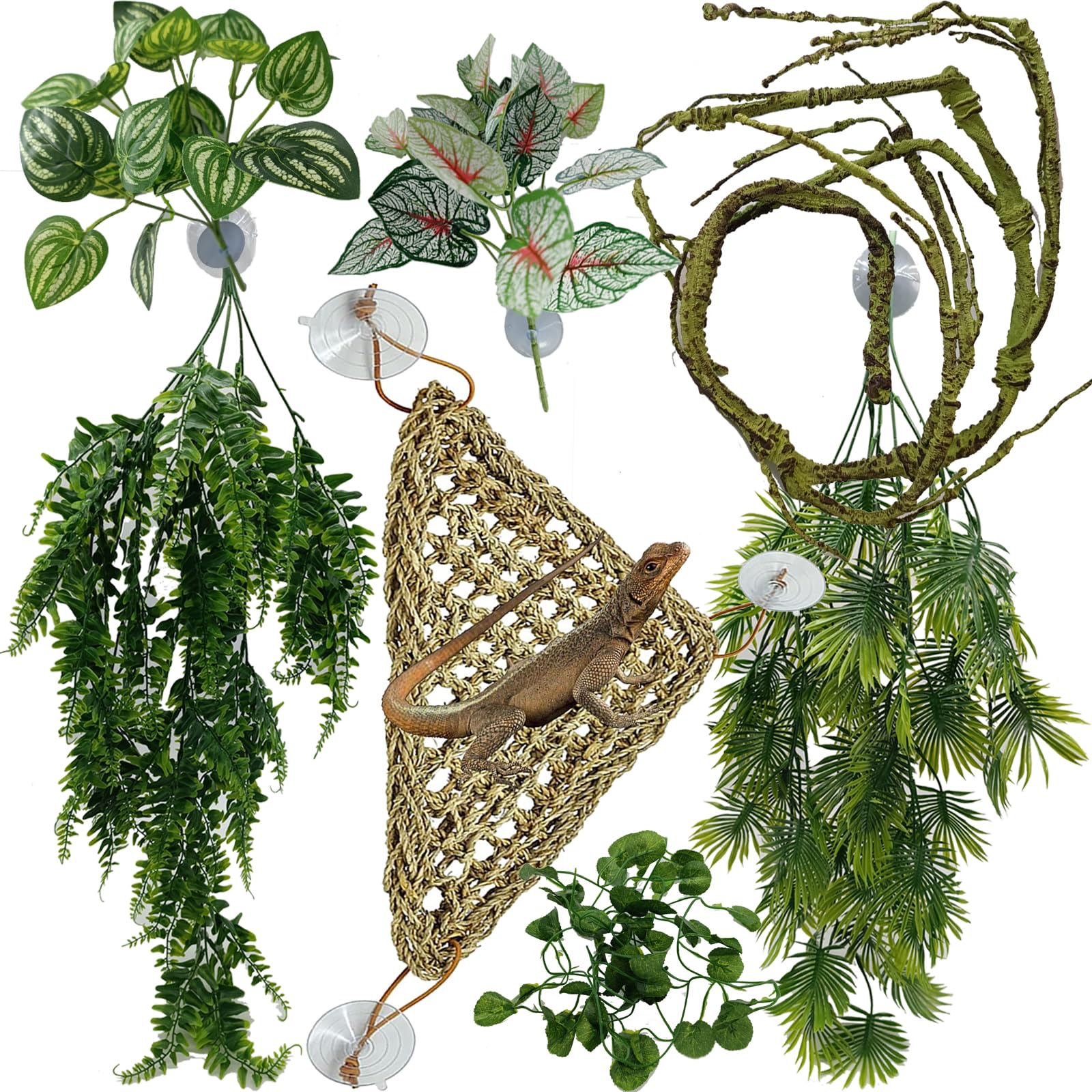 Reptile Plants for Bearded Dragon Tank Accessories, Terrarium Plant ...
