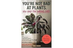 Houseplants for People Who Kill Plants: Low-Maintenance Indoor Plant Guide for Renters, and Beginners