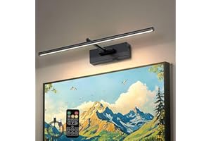 iYoee Battery Operated Picture Light with Wireless Remote 3CCT Dimmable Black Wall Art Lights for Paintings Rechargeable Home Decor Gallery Light 16'' Artwork Lighting for Canvas Timer Function