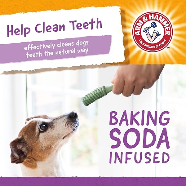 ARM & HAMMER FOR PETS NUBBIES DENTAL TREATS FOR DOGS WITH BAKING SODA AND CALCIUM, TREAT CHEWS HELP FIGHT BAD BREATH, PLAQUE & TARTAR WITHOUT BRUSHING, MD SIZE MINT, 62 PCS (PACKAGING MAY VARY)