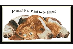 Maydear Cross Stitch Stamped Kits Full Range of Embroidery Starter Kits Beginners for DIY 11CT 3 Strands - Friendship is to Share 22.83×12.99 inch