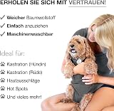 BellyGuard Recovery Suit for Dogs Post Op Spay Neuter Onesie view 4