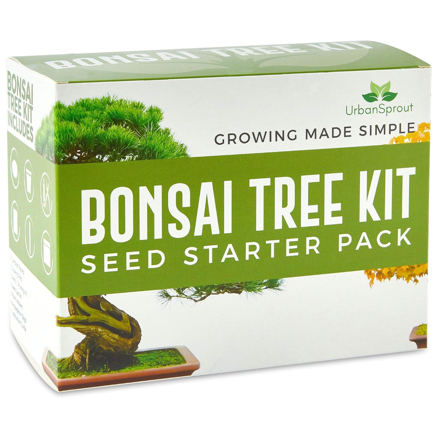 Urban Sprout Bonsai Tree Kit Grow Your Own Bonsai Trees from Seeds Gardening Gift Set 5 Bonzai
