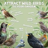 Copdock Mill Wild Bird Seed & Grain Mix 20kg High Energy All Year view 4