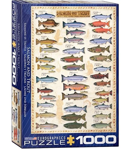 Amazon.com: EuroGraphics Sea Fish 1000 Piece Puzzle (6000