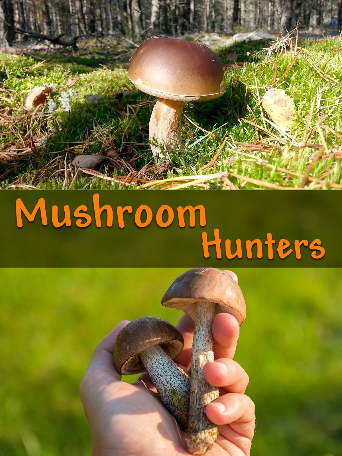 Watch Mushroom Hunters Prime Video