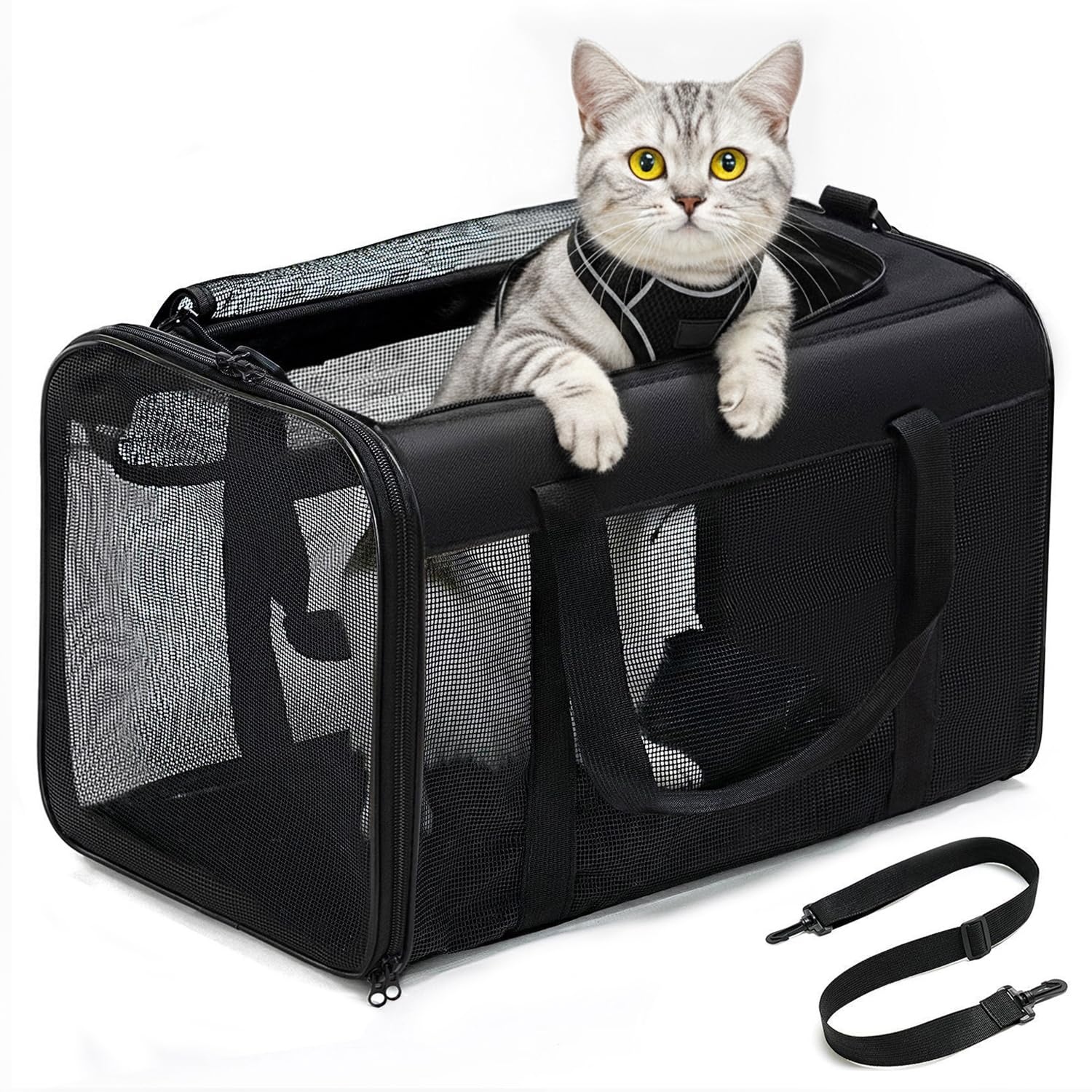Photo 1 of Conlun Cat Carrier Bag,Soft-Sided Pet Carriers for Dogs with 4-Sided Mesh,Airline Approved Cat Transport Carrier for Small&Medium Cats Kitten Puppy Up to 15Lb,Collapsible Cat Travel Carrier-M,Black