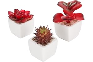 MyGift Set of 3 Miniature Artificial Succulent Plants w/Ceramic Plant Pots, Red