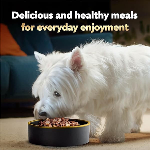 CESAR HOME DELIGHTS & CLASSIC LOAF IN SAUCE ADULT WET DOG FOOD, VARIETY PACK, WET FOOD FOR DOGS, 3.5 OZ TRAY, 36 COUNT