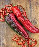 Burpee Thunderbolt Hybrid Sweet Italian Roasting
