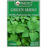 TKE Farms &amp; Gardens - Green Shiso Perilla Seeds for Planting, 200+ Heirloom Non-GMO Perilla Seeds, Adds Bold, Spicy Aroma to Asian Dishes, Ideal for Indoor &amp; Outdoor Gardens, Qty 1