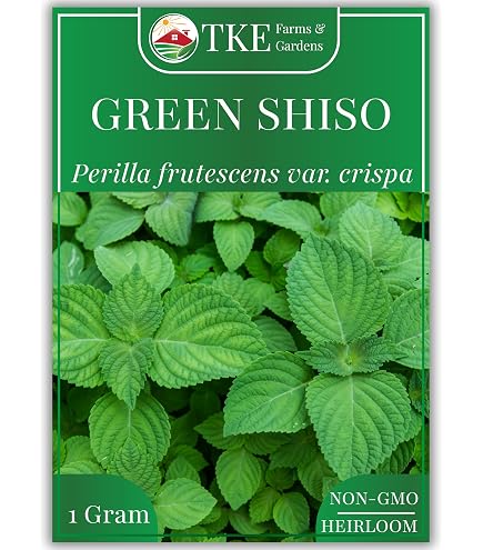 Amazon.com : Mauifarmacy Grown Perilla Shiso Leaf Tea
