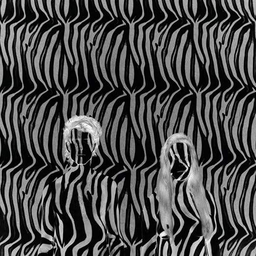 Zebra [7" VINYL]: Amazon.co.uk: CDs & Vinyl
