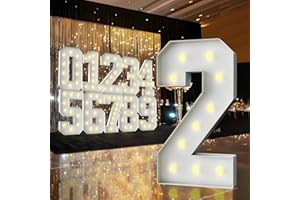 ZFUNBO 3FT Marquee Light Up Number,Marquee Numbers 3 Feet Tall, Large Led Sign for Baby Shower,Party,Birthday Decorations,Graduation,Prom(Number 2)