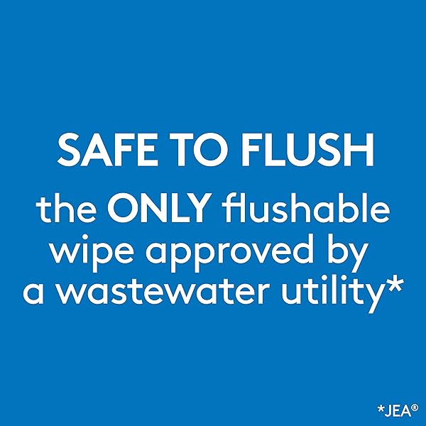 COTTONELLE FLUSHABLE WET WIPES FOR ADULTS, 1 FLIP-TOP PACK, 42 WIPES, ALCOHOL-FREE, PLASTIC FREE