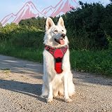 Eagloo Large Dog Harness No Pull Front Back Clips Reflective Red XL view 9