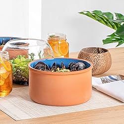Restaurantware-Terra Tek 68 Ounce Terracotta