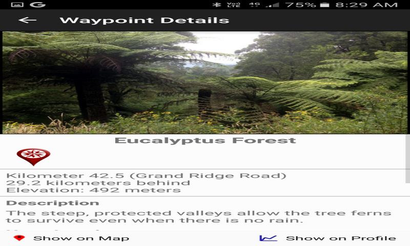 Avacatau - //medicalbooks.filipinodoctors.org