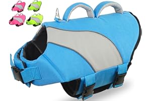 Fragralley Dog Life Jacket, Superior Buoyancy & Security Dog Life Vest for Swimming and Boating, Reflective Dog Life Preservers with Rescue Handle for Small Medium Large Dogs - L (Double Handle)
