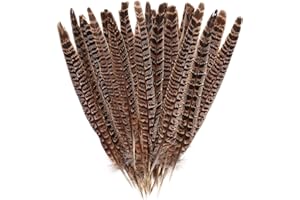 obmwang 27Pcs 25-30cm Natural Pheasant Feathers for DIY Craft Wedding Home Party Decorations