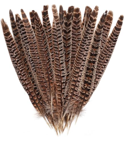 Natural Partridge Plumage Feather | Buy Craft Feathers