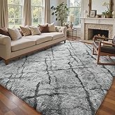 4x6 Ft Shag Rugs for Bedroom Living Room, Tie-Dyed Ultra Soft Fluffy Furry Area Rugs for Indoor Floor, Aesthetic Carpet for K
