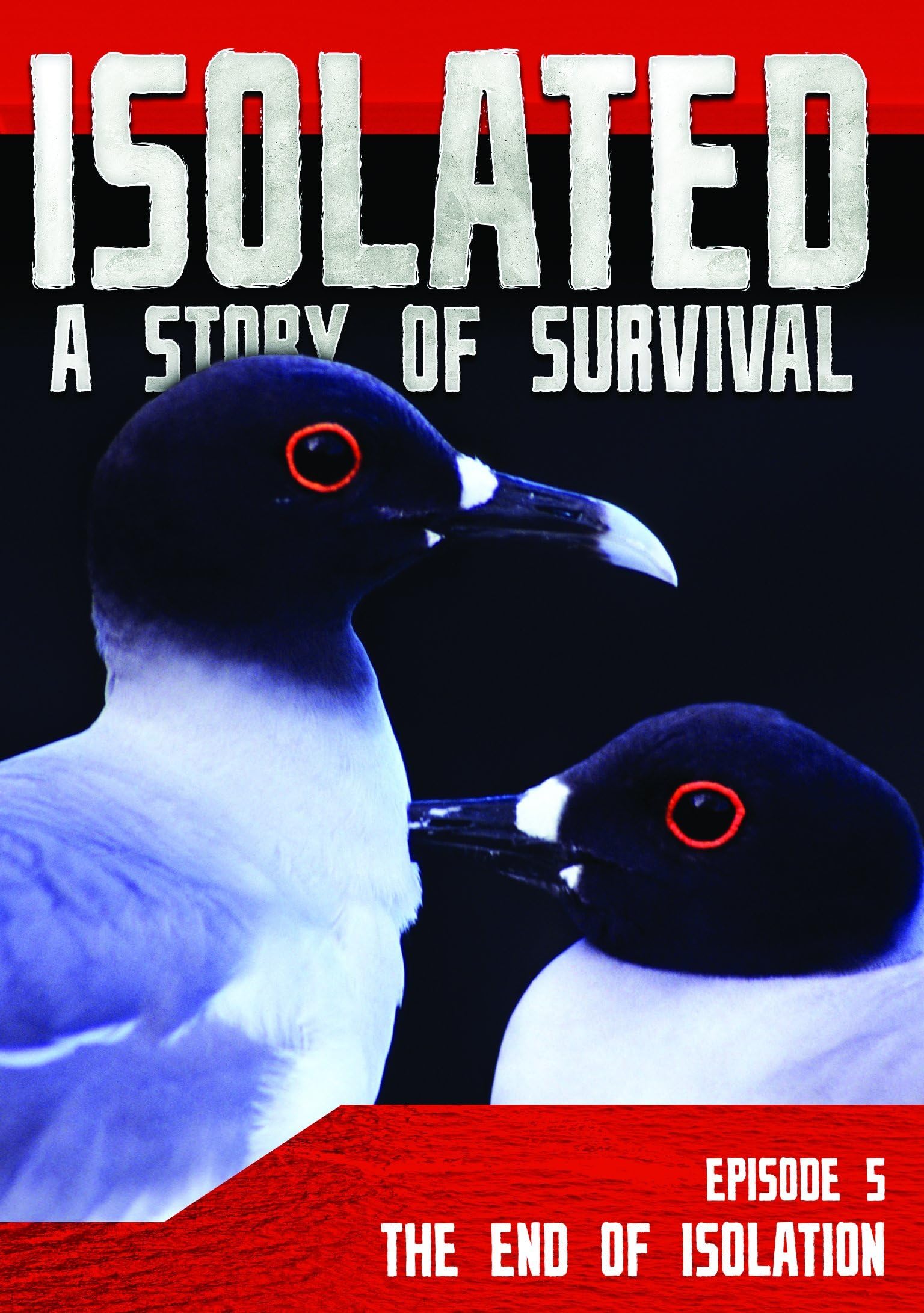 Isolated: A Story of Survival: The End of Isolation