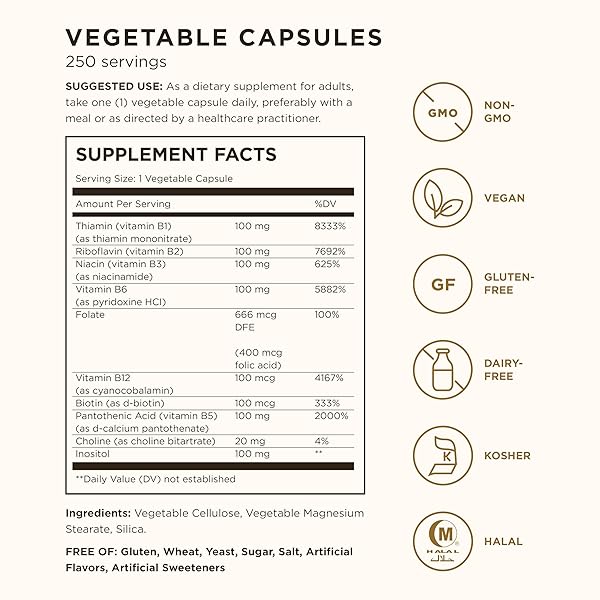 SOLGAR B-COMPLEX “100”, 250 VEGETABLE CAPSULES – HEART HEALTH – NERVOUS SYSTEM SUPPORT – SUPPORTS ENERGY METABOLISM – NON-GMO, VEGAN, GLUTEN FREE, DAIRY FREE, KOSHER, HALAL – 250 SERVINGS