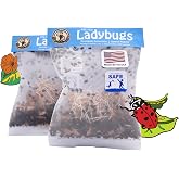 NaturesGoodGuys Live Ladybugs for Organic Gardening, 3000 Count | Targets aphids, mites, scales, thrips, whitefly, and other soft-bodied insects indoors and outdoors