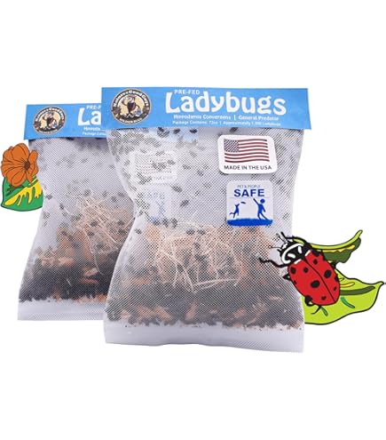 Amazon.com : General Predator Garden Pack 1,500 Ladybugs