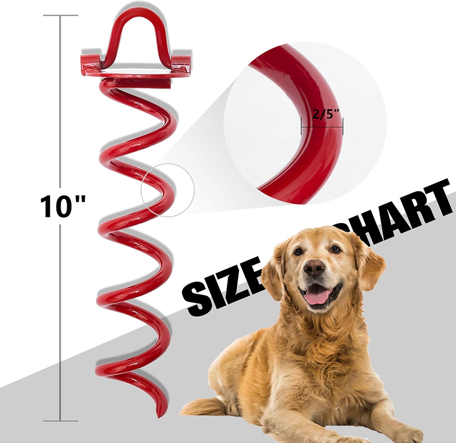 dog stake for camping