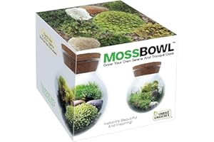 Create Your Serene Moss Sanctuary with The Unique Gardener Moss Bowl Terrarium Kit with LED Light - Complete Terrarium Supplies, Indoor Plants for Stress Relief & Air Purification!