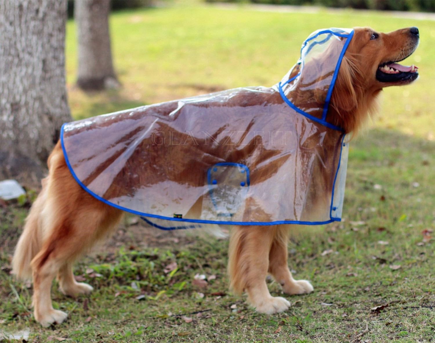 amazon dog raincoat advert