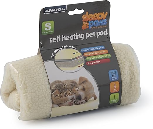 can dogs eat egg whites