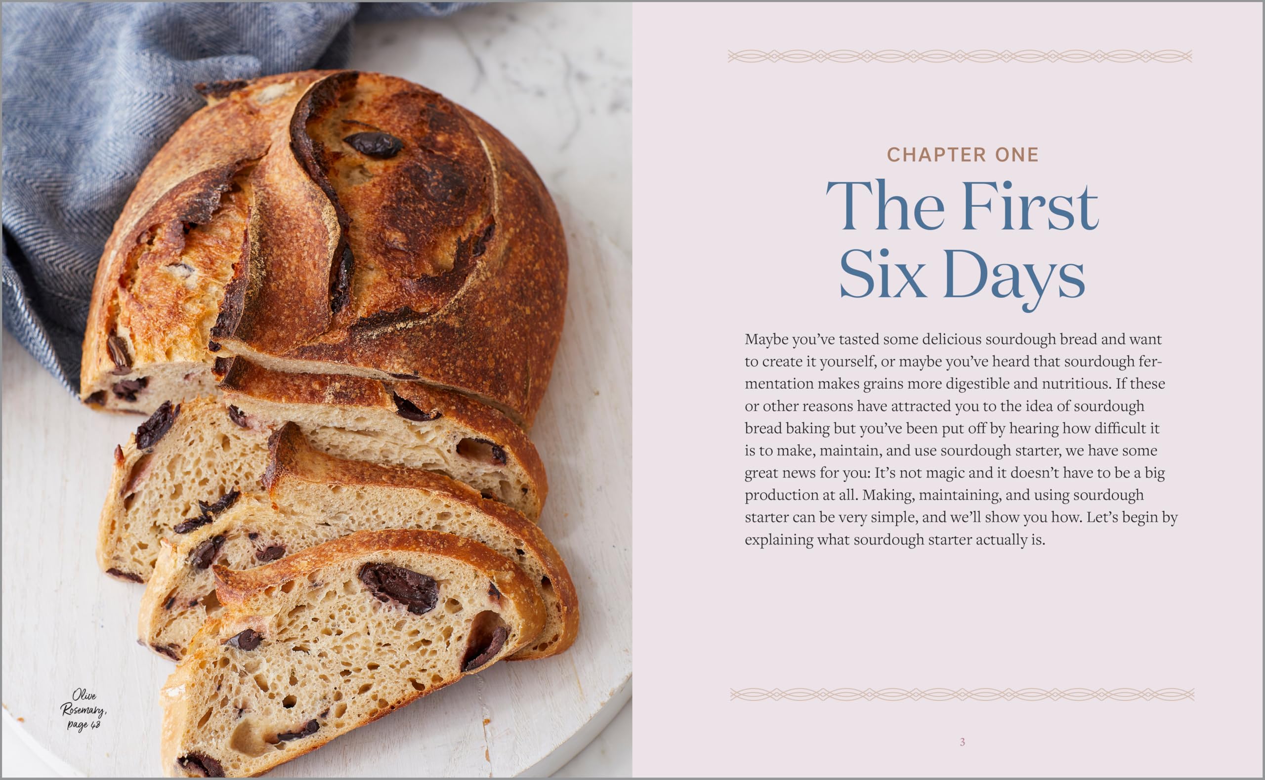 Sourdough Cookbook for Beginners: A Step-by-Step Introduction to Make Your Own Fermented Breads