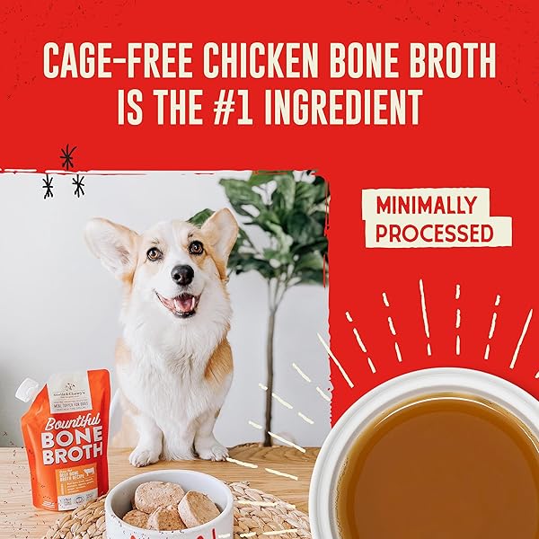 STELLA & CHEWY’S PREMIUM CAGE-FREE CHICKEN BONE BROTH FOR DOGS – JOINT & GUT HEALTH SUPPORT LIQUID FOOD TOPPER WITH COLLAGEN & TURMERIC, 16 FL OZ RESEALABLE POUCH