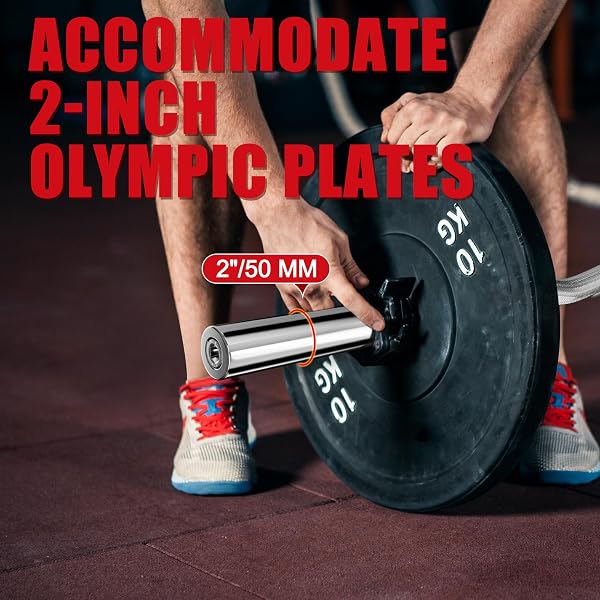 OLYMPIC EZ CURL BAR – 47IN/4FT FOR ARM WORKOUTS, BICEP CURLS, TRICEPS EXTENSIONS – COMPATIBLE WITH 2″ WEIGHT PLATES